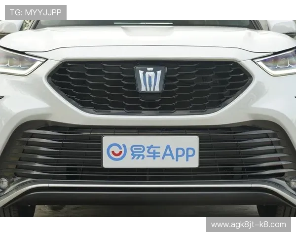 皇冠登录app登录遇到问题怎么办，详细解决方案推荐