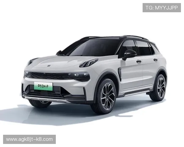 中国电竞崛起的背后：K8凯发助推天生赢家成为行业领军者