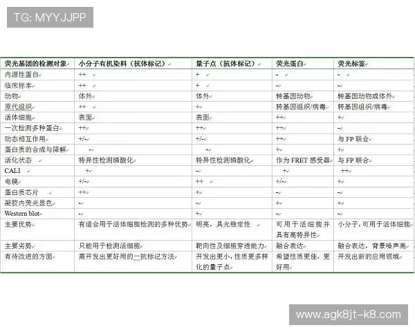 凯发正规官网游戏公平性保障，采用先进技术确保每局结果公正透明