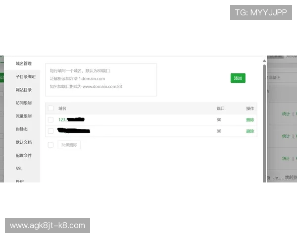凯发网网站登录入口手机版下载安全保障措施，保障玩家个人信息与账号安全的最佳实践