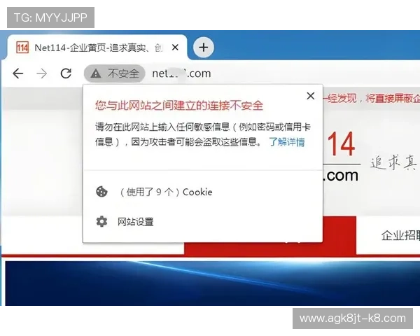 K8凯发网站的安全支付方式详解确保每一笔交易的安全与便捷