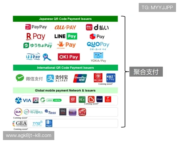 深入了解K8网站的多样化支付方式与资金安全保障措施，保障玩家财产安全